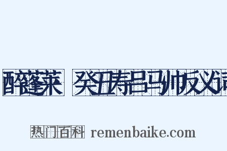 醉蓬莱·癸丑寿吕马帅反义词是什么意思的图片